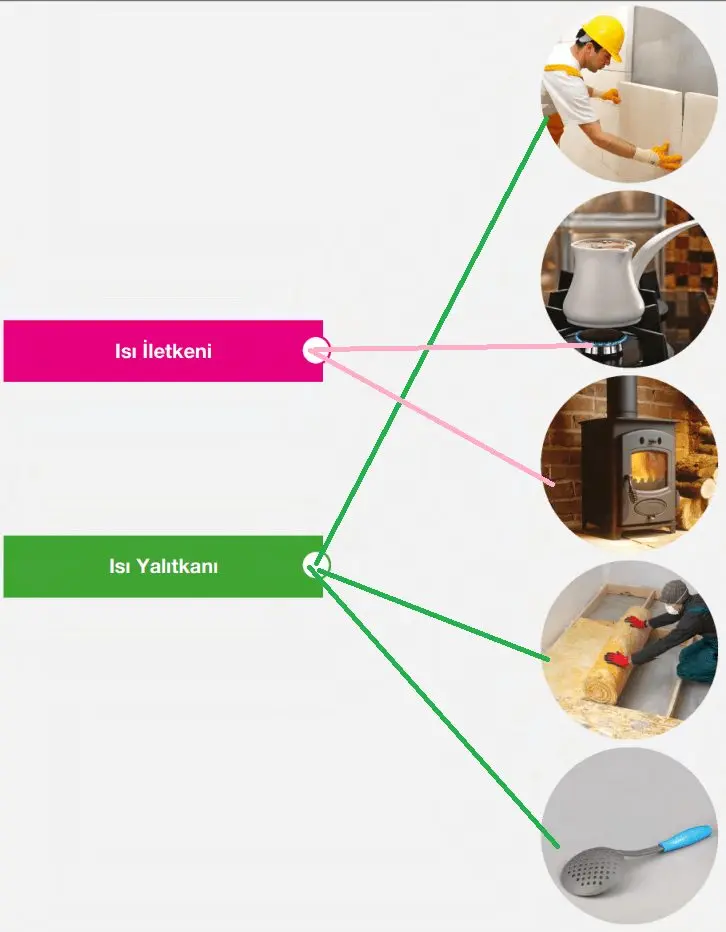 6. Sınıf Fen Bilimleri Ders Kitabı Sayfa 151-152-153-154-155 Cevapları GÜN Yayıncılık