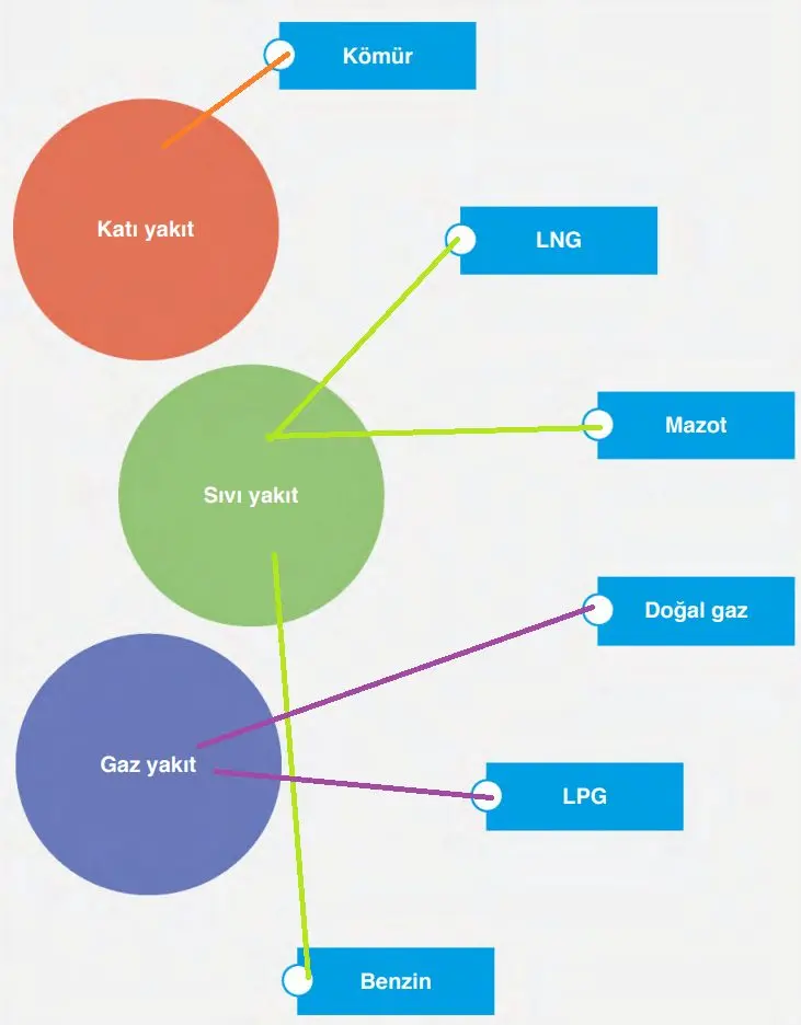 6. Sınıf Fen Bilimleri Ders Kitabı Sayfa 164-168-169-171 Cevapları GÜN Yayıncılık 1 6. Sınıf Fen Bilimleri Ders Kitabı Sayfa 168 Cevapları GÜN Yayıncılık