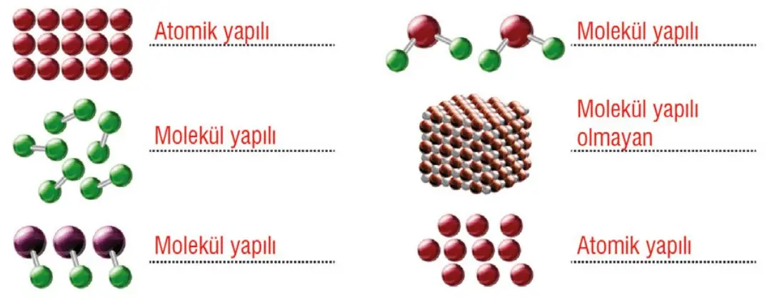 7. Sınıf Fen Bilimleri Ders Kitabı Sayfa 108-109-114-116-117 Cevapları MEB Yayınları