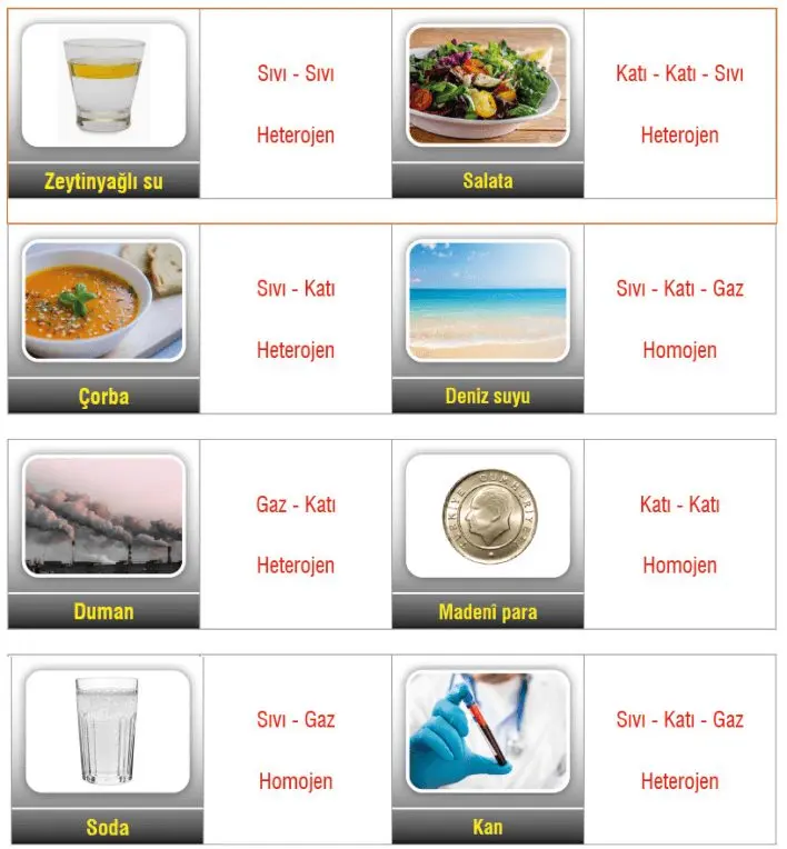 7. Sınıf Fen Bilimleri Ders Kitabı Sayfa 123 Cevapları MEB Yayınları