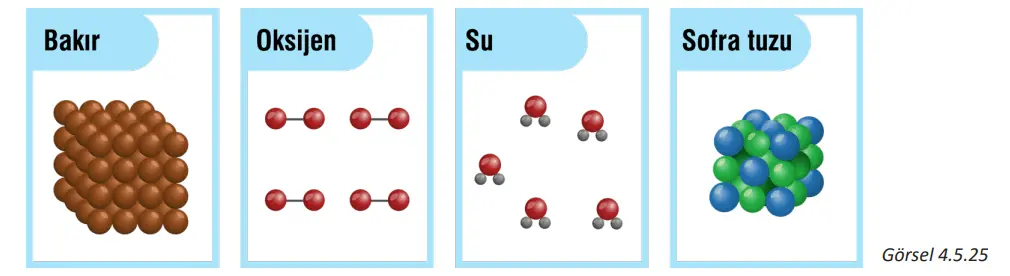7. Sınıf Fen Bilimleri Ders Kitabı Sayfa 142 Cevapları MEB Yayınları
