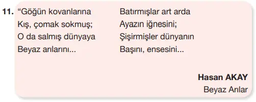 7. Sınıf Türkçe Ders Kitabı Sayfa 162-163-164-165-166 Cevapları Özgün Yayıncılık 5 7. Sınıf Türkçe Ders Kitabı Sayfa 167 Cevapları Özgün Yayıncılık