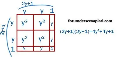 8. Sınıf Matematik Ders Kitabı Sayfa 139-140-141-142 Cevapları MEB Yayınları 2 8. Sınıf Matematik Ders Kitabı Sayfa 141 Cevapları MEB Yayınları