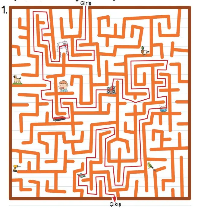 3. Sınıf Fen Bilimleri Ders Kitabı Sayfa 131-133-134-136-137 Cevapları MEB Yayınları