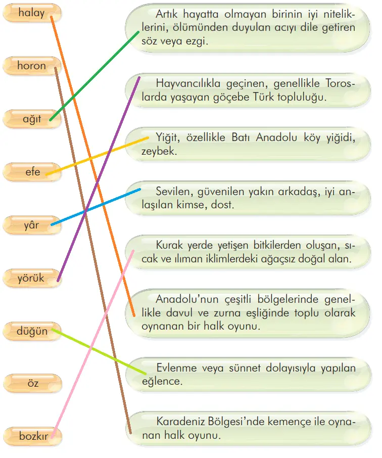 3. Sınıf Türkçe Ders Kitabı Sayfa 211-212-213-214-215-216-217-218 Cevapları İlke Yayıncılık