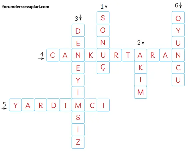 3. Sınıf Türkçe Ders Kitabı Sayfa 225 Cevapları MEB Yayınları