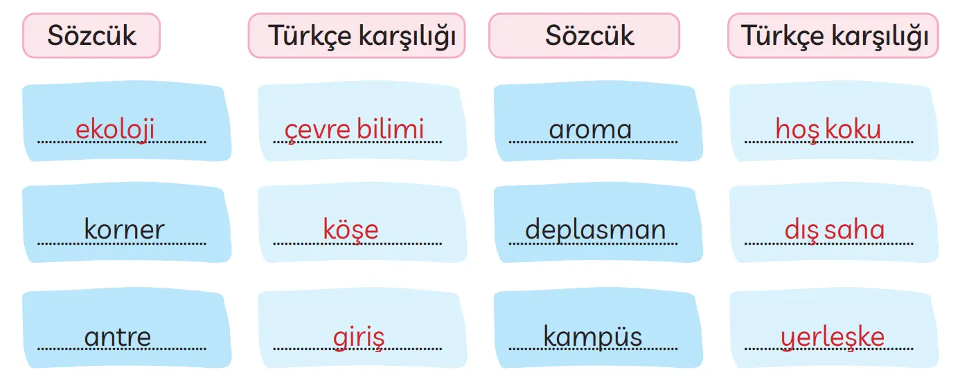 3. Sınıf Türkçe Ders Kitabı Sayfa 249 Cevapları MEB Yayınları