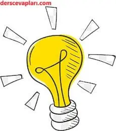 4. Sınıf Fen Bilimleri Ders Kitabı Sayfa 166-167-171-172 Cevapları Pasifik Yayınları