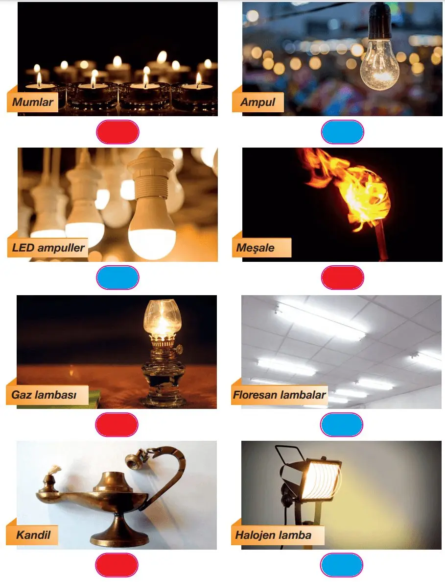 4. Sınıf Fen Bilimleri Ders Kitabı Sayfa 166-167-171-172 Cevapları Pasifik Yayınları 2 4. Sınıf Fen Bilimleri Ders Kitabı Sayfa 172 Cevapları Pasifik Yayınları