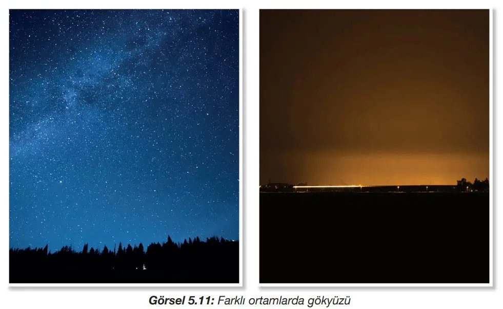 4. Sınıf Fen Bilimleri Ders Kitabı Sayfa 181-182-183-186-187 Cevapları Pasifik Yayınları