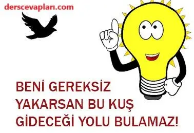 4. Sınıf Fen Bilimleri Ders Kitabı Sayfa 181-182-183-186-187 Cevapları Pasifik Yayınları 2 4. Sınıf Fen Bilimleri Ders Kitabı Sayfa 186 Cevapları Pasifik Yayınları