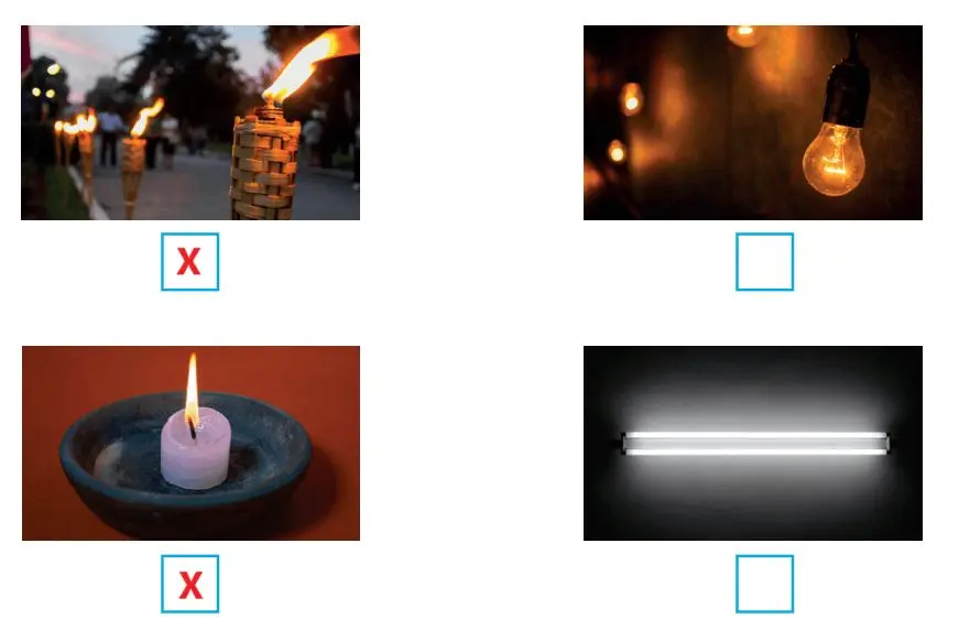 4. Sınıf Fen Bilimleri Ders Kitabı Sayfa 204-205-206-207-208-209 Cevapları Pasifik Yayınları 2 4. Sınıf Fen Bilimleri Ders Kitabı Sayfa 206 Cevapları Pasifik Yayınları