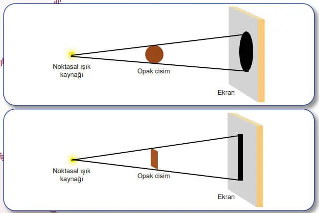 5. Sınıf Fen Bilimleri Ders Kitabı Sayfa 34-35-36-37-38-43 Cevapları 2. Kitap 3 5. Sınıf Fen Bilimleri Ders Kitabı Sayfa 36 Cevapları MEB Yayınları