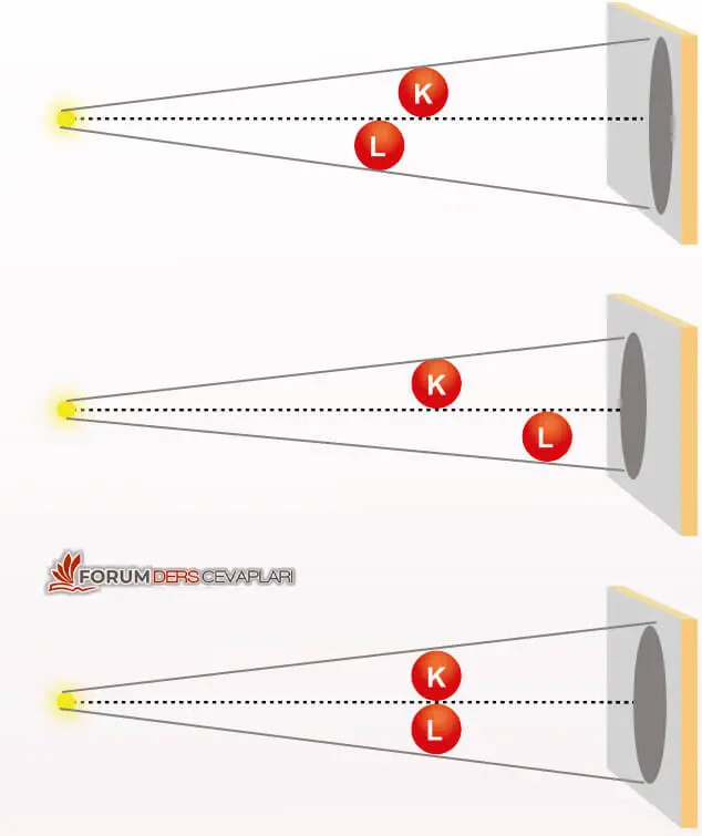 5. Sınıf Fen Bilimleri Ders Kitabı Sayfa 34-35-36-37-38-43 Cevapları 2. Kitap 4 5. Sınıf Fen Bilimleri Ders Kitabı Sayfa 43 Cevapları MEB Yayınları