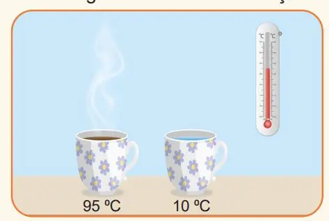 5. Sınıf Fen Bilimleri Ders Kitabı Sayfa 98 Cevapları MEB Yayınları