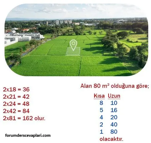 5. Sınıf Matematik Ders Kitabı Sayfa 164-165-166 Cevapları MEB Yayınları 2 5. Sınıf Matematik Ders Kitabı Sayfa 164 Cevapları MEB Yayınları1
