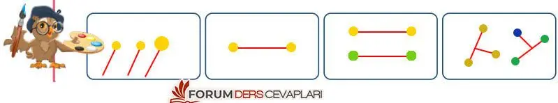 7. Sınıf Fen Bilimleri Ders Kitabı Sayfa 116 Cevapları MEB Yayınları