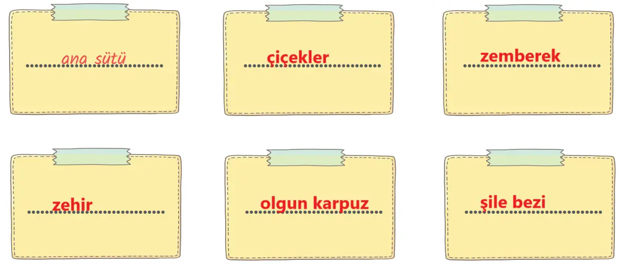 7. Sınıf Türkçe Ders Kitabı Sayfa 144-147-148-149-150-151 Cevapları MEB Yayınları