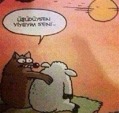 3. Sınıf Türkçe Ders Kitabı Sayfa 248 Cevapları İlke Yayıncılık