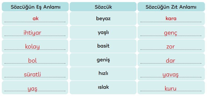 3. Sınıf Türkçe Ders Kitabı Sayfa 269 Cevapları MEB Yayınları1