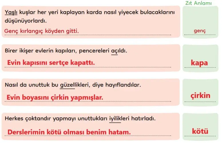 3. Sınıf Türkçe Ders Kitabı Sayfa 276 Cevapları MEB Yayınları