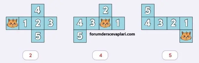 4. Sınıf Matematik Ders Kitabı Sayfa 186-187-188-191-192 Cevapları MEB Yayınları 8 4. Sınıf Matematik Ders Kitabı Sayfa 191 Cevapları MEB Yayınları2