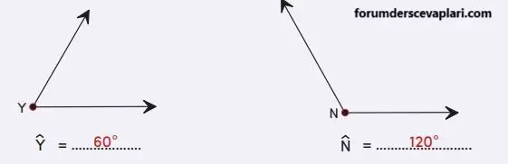 4. Sınıf Matematik Ders Kitabı Sayfa 203 Cevapları MEB Yayınları