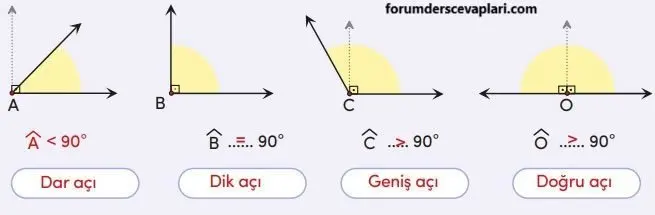 4. Sınıf Matematik Ders Kitabı Sayfa 205 Cevapları MEB Yayınları