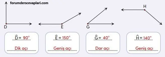 4. Sınıf Matematik Ders Kitabı Sayfa 205 Cevapları MEB Yayınları2