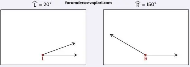 4. Sınıf Matematik Ders Kitabı Sayfa 207 Cevapları MEB Yayınları