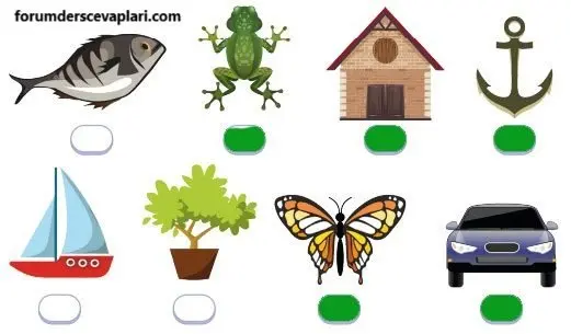 4. Sınıf Matematik Ders Kitabı Sayfa 208-210-211-212-213-215 Cevapları MEB Yayınları