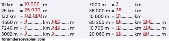4. Sınıf Matematik Ders Kitabı Sayfa 217 Cevapları MEB Yayınları