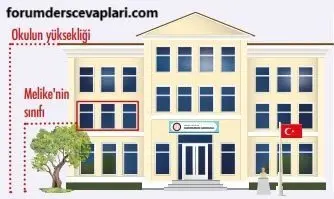 4. Sınıf Matematik Ders Kitabı Sayfa 223-226 Cevapları MEB Yayınları 2 4. Sınıf Matematik Ders Kitabı Sayfa 223 Cevapları MEB Yayınları1