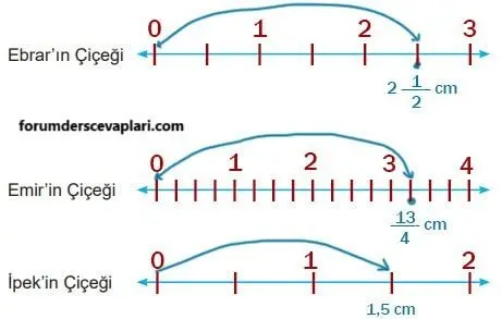 5. Sınıf Matematik Ders Kitabı Sayfa 30 Cevapları MEB Yayınları1