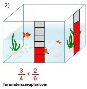 5. Sınıf Matematik Ders Kitabı Sayfa 34 Cevapları MEB Yayınları1