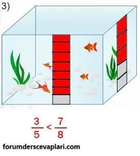 5. Sınıf Matematik Ders Kitabı Sayfa 34 Cevapları MEB Yayınları2