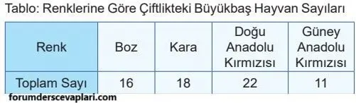 5. Sınıf Matematik Ders Kitabı Sayfa 39 Cevapları MEB Yayınları