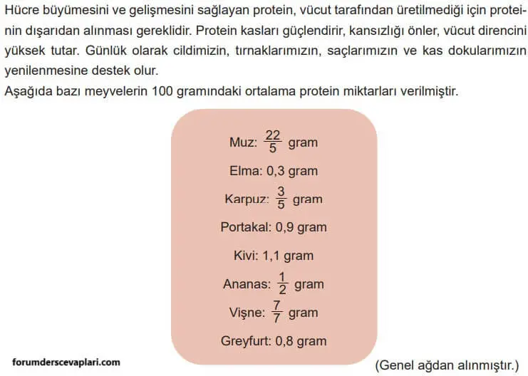 5. Sınıf Matematik Ders Kitabı Sayfa 47-48-49-50 Cevapları 2. Kitap