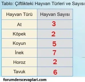 5. Sınıf Matematik Ders Kitabı Sayfa 58-59 Cevapları 2. Kitap 2 5. Sınıf Matematik Ders Kitabı Sayfa 58 Cevapları MEB Yayınları1