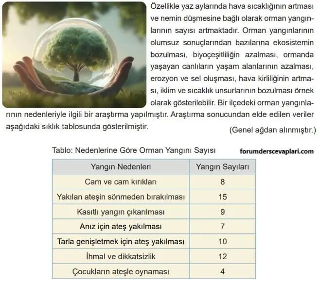 5. Sınıf Matematik Ders Kitabı Sayfa 72-73-74-75-76-77 Cevapları 2. Kitap 8 5. Sınıf Matematik Ders Kitabı Sayfa 77 Cevapları MEB Yayınları
