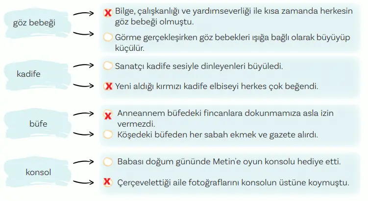 5. Sınıf Türkçe Ders Kitabı Sayfa 31 Cevapları MEB Yayınları