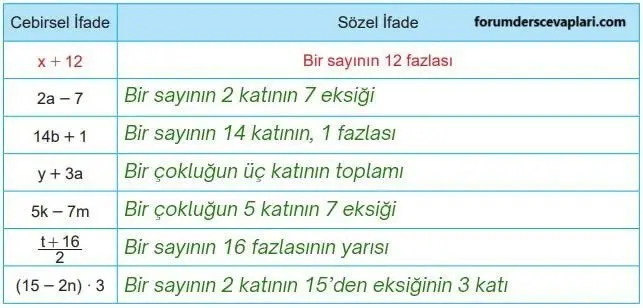 6. Sınıf Matematik Ders Kitabı Sayfa 184 Cevapları MEB Yayınları1