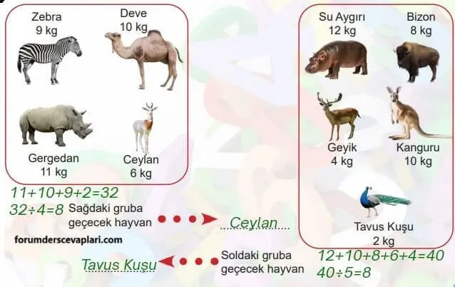 6. Sınıf Matematik Ders Kitabı Sayfa 201-202-203 Cevapları MEB Yayınları 2 6. Sınıf Matematik Ders Kitabı Sayfa 201 Cevapları MEB Yayınları1