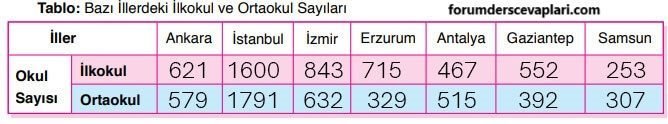 6. Sınıf Matematik Ders Kitabı Sayfa 206 Cevapları Doğa Yayıncılık