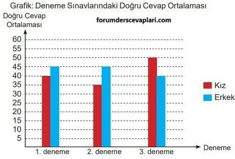 6. Sınıf Matematik Ders Kitabı Sayfa 204-205-206-207-208-209 Cevapları MEB Yayınları 4 6. Sınıf Matematik Ders Kitabı Sayfa 206 Cevapları MEB Yayınları