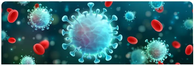 7. Sınıf Matematik Ders Kitabı Sayfa 179 Cevapları Edat Yayınları