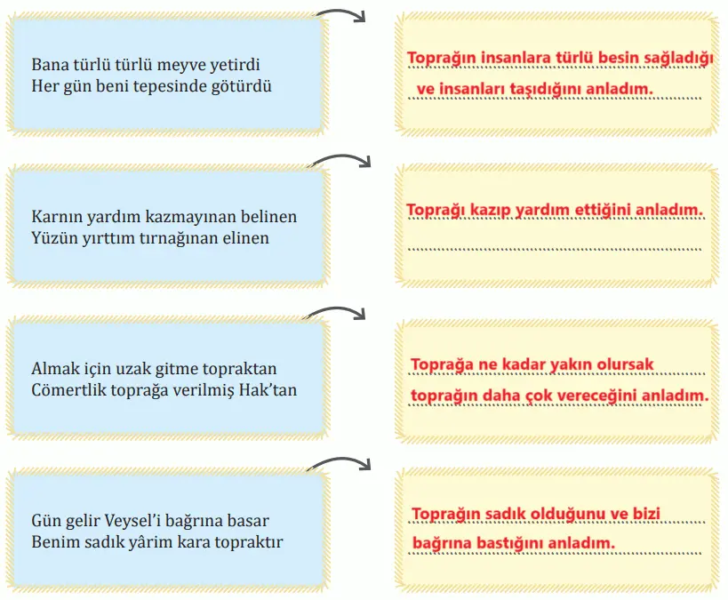 7. Sınıf Türkçe Ders Kitabı Sayfa 185 Cevapları MEB Yayınları