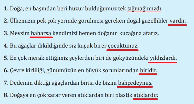 7. Sınıf Türkçe Ders Kitabı Sayfa 186 Cevapları MEB Yayınları