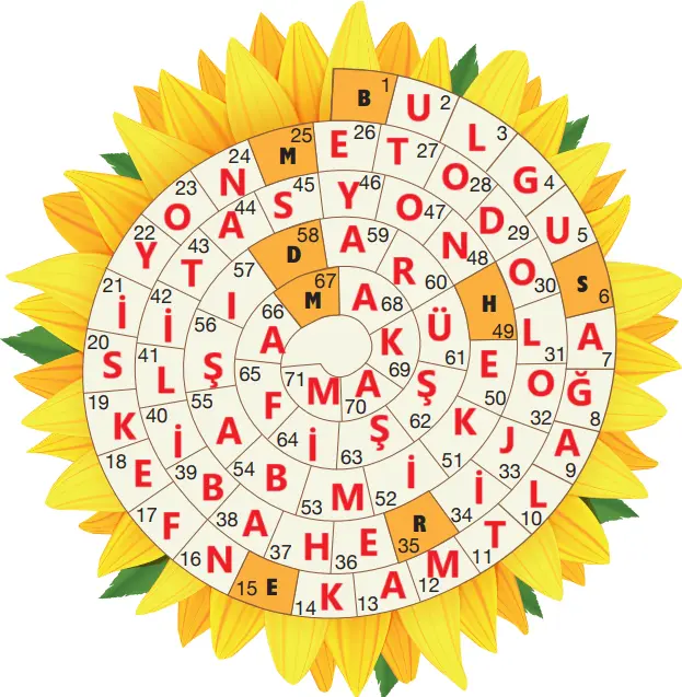 7.  Sınıf Türkçe Ders Kitabı Sayfa 207 Cevapları Özgün Yayınları