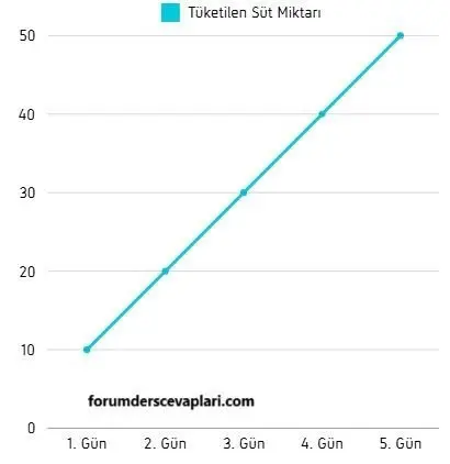 8. Sınıf Matematik Ders Kitabı Sayfa 200-201-202-203-204 Cevapları MEB Yayınları